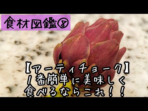 【食材図鑑】８.アーティチョークの１番簡単で美味しい食べ方！ artichoke/artichaut/チョウセンアザミ　#shorts