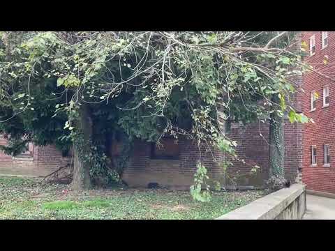 Abandoned Boys and Girls Club.(Tom Cruise visited this place)