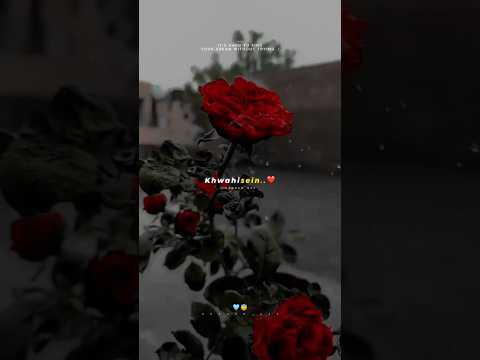 Aashqui 2 ❤️‍🩹 Aesthetic Status 💫 Slowed And Reverb Song 🥀 Feeling Video 🕊️