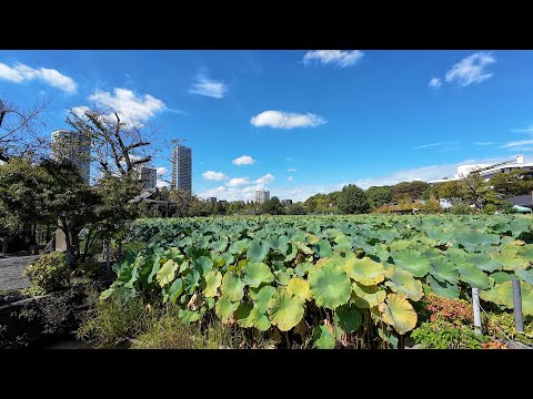 【東京編】上野駅から始まる散歩：４K Japan Ueno