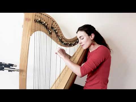 The Parting Glass - simple arrangement for Celtic Lever Harp (sheet music available!)