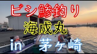 ビシ鯵釣り　相模湾茅ヶ崎港　海成丸