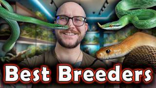 Top 5 Reptiles To Breed That You’ve Never Heard Of