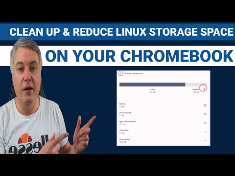 How to clean up and reduce Linux Storage space on your Chromebook