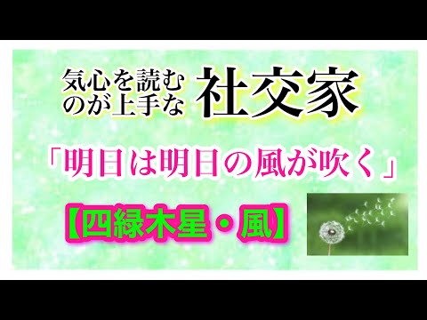 気心を読むのが上手な社交家【四緑木星・風】