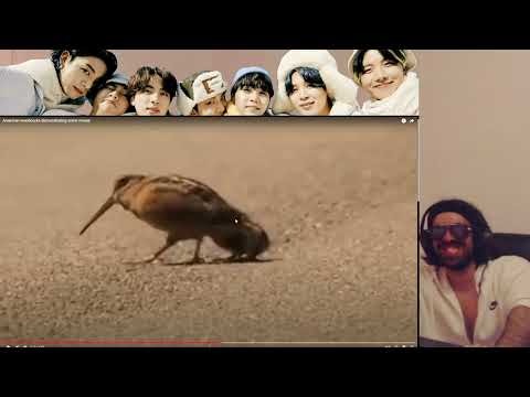 BTS GOT THE MOVES! OH WOW | Shiki Reaction