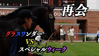 グラスワンダー　VS　スペシャルウィーク　in 函館競馬場（2014.7.19）