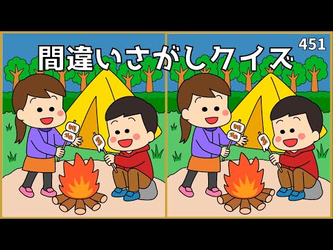 【間違い探しクイズ】徐々に難易度がUP！大人向け脳トレ動画【全3問】#451