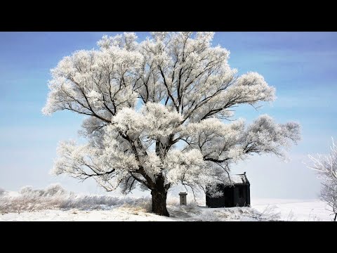 中國吉林 霧淞島 一生必看的中國四大自然美景 #rime island