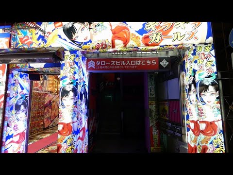 夜の新宿歌舞伎町を歩く　ギラギラガールズ