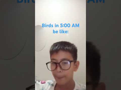 Birds in 5:00 AM be lik😂🤭 #freecomedy #funny #themanniishow #relatable