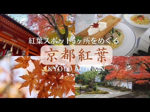 【vlog】京都の秋・紅葉をめぐる / 嵐山 / 天龍寺 / 真如堂 / 嵯峨野湯 / 常寂光寺 / 宝筐院 / 毘沙門堂