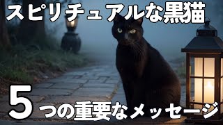 【スピリチュアルな黒猫の意味】あなたに訪れる5つのメッセージ