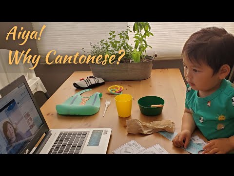 Pitch - Aiya! Why Cantonese?