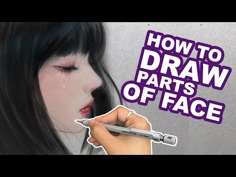 How to draw girl faces for beginners - Step by step | Huta Chan | Semi Realistic Style