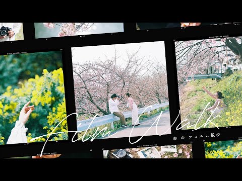 Vlog] I took my beloved film camera to take pictures of cherry blossoms🌸