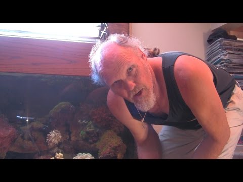 Internal Water Movement, LA Fishguys Episode 148, part 2