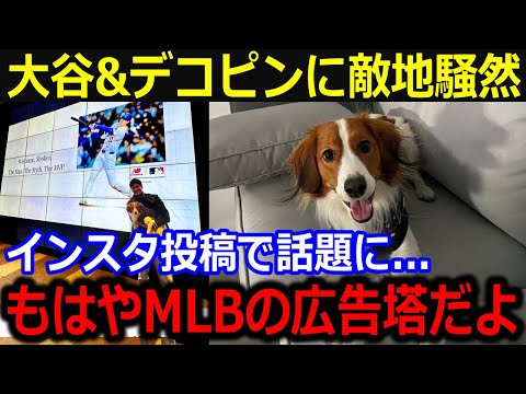 まさか敵地ボストンで大谷&デコピンに騒然！「MLBの広告塔だよ」全米を虜にするデコピンの出現にボストンファンを魅了【最新/MLB/大谷翔平/山本由伸】