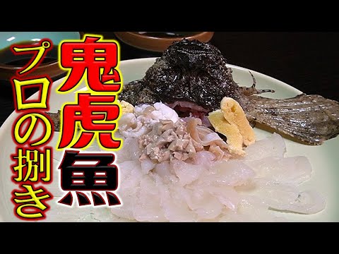 貴重映像！超高級魚を和食料理人の料理長に捌いてもらった【オニオコゼ#2】