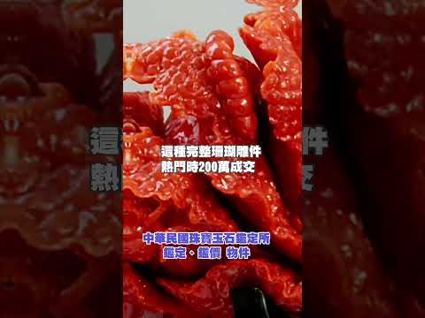 這種完整珊瑚雕件，曾經200萬成交😍 #今日鑑定物件 #中華民國珠寶玉石鑑定所 #好奇 #想知道 #珠寶 #玉石 #翡翠 #jade #熱門 #寶石 #珍珠 #價格 #猜猜看 #想知道 #玉 #玉鐲