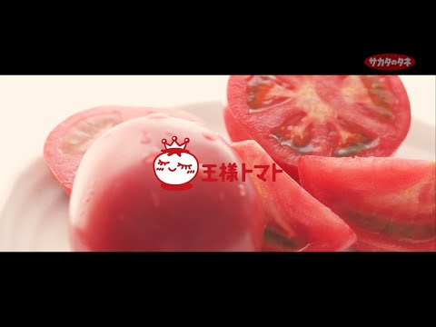 ひがしみの王様トマトPR動画