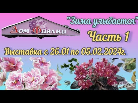 *Фиалки -24* Выставка в Доме Фиалки "Зима улыбается" (Москва)с 26.01 - 05.02.24г. #фиалки #выставка