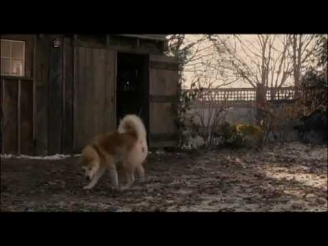 Hachiko - A dog's story.FLV