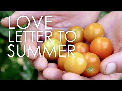 Love Letter to Summer | Ridgeland Harvest Farm Dinner | Wisconsin Foodie