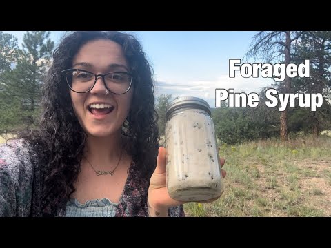 Foraging Pinon Pine Cones & Making Homemade Pine Syrup | Natural DIY Recipe