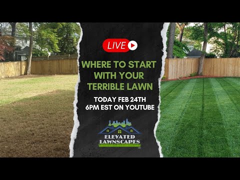 Where To Start With Your Terrible Lawn