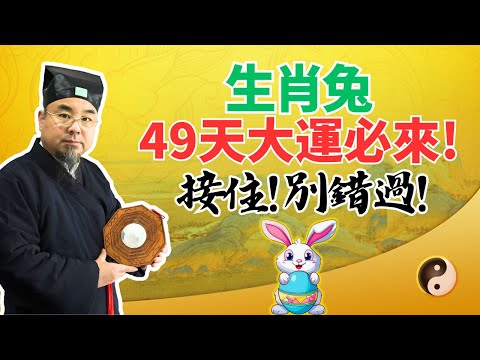 49天倒計時開始！生肖兔將迎來大運，財運已在路上，奇蹟將會發生！接住，別錯過！ #2025年生肖兔運勢 #2025年生肖兔運程 #2025年屬兔運勢 #2025年屬兔運程