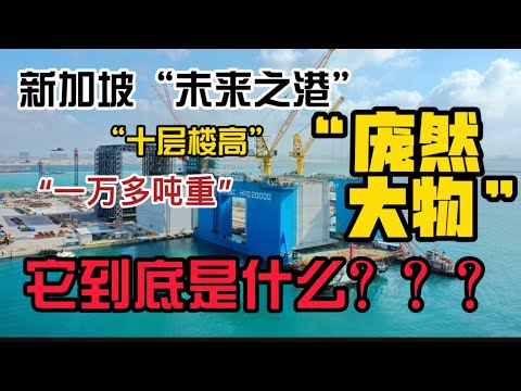 新加坡“未来之港”的这个超级“庞然大物” 它到底是什么？