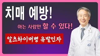 치매 예방! 아는 사람만 할 수 있다ㅣ알츠하이머병 예방 골든타임