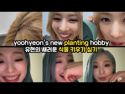 yoohyeon's new planting hobby 🐶 유현의 새로운 식물 키우기 심기