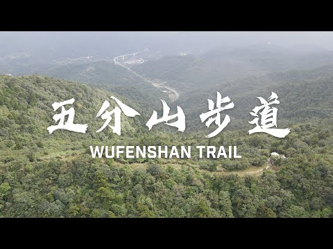 【#五分山步道/ #WuFenShanTrail】白色芒草夾道，登上台版「小萬里長城」！