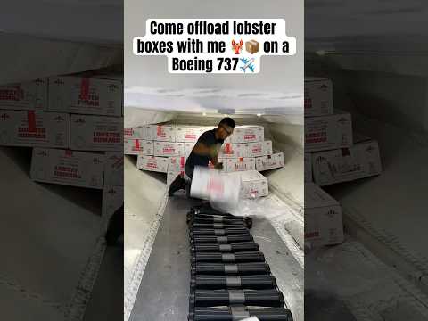 Come offload lobster boxes with me 🦞📦 on a Boeing 737✈️ #aviation #boeing