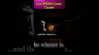 How to Increase Sperm Count | Causes | Foods to Increase Sperm Count #shorts #health