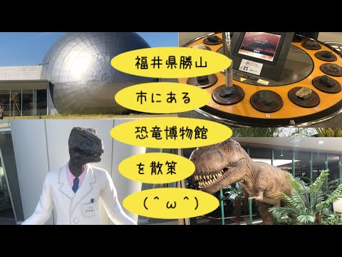 番外編（写真のみで振り返る）　福井県勝山市にある恐竜博物館🦖を散策