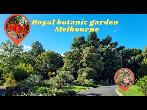 EP.24 Royal Botanic Garden Melbourne