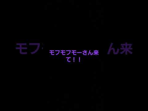 未公開だったからリベンジ