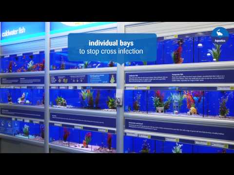 Making our pets at home -- Aquatics