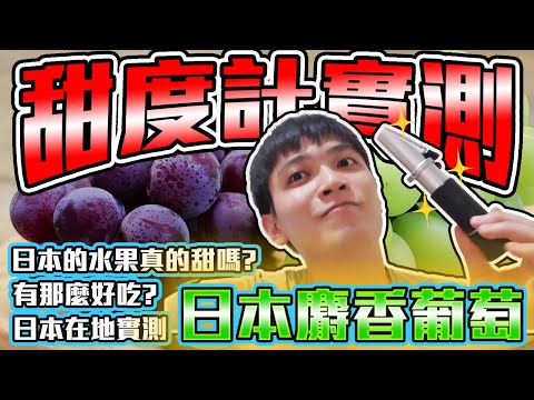 【農產系列】甜度計實測！日本的水果真的甜嗎？日本麝香葡萄。日本巨峰葡萄。ピオーネ葡萄【日本果物系列-葡萄篇】