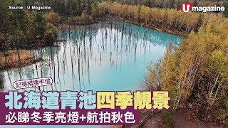 【#短綫特搜】青池四季絶色靚景！必睇冬季亮燈+航拍秋色