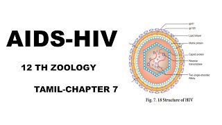 AIDS-HIV( Human Immunodeficiency Virus)-Tamil