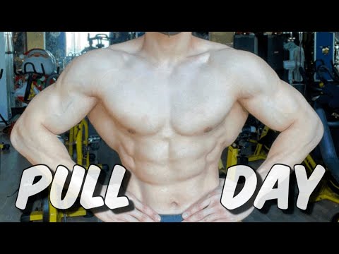 등운동 자극 안오셨던 분들은 “이 방법”을 적용해 보세요! | 등운동루틴 Pull Day