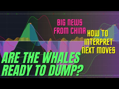 HUGE  Bitcoin News & Whale ALERT Update (next months predictions)