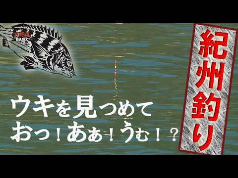 紀州釣り　自作ウキを見つめて遊ぶ！（福井県防波堤）下野流BASIC