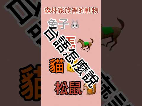 玩具台語小教室「森林家族裡的動物」的台語怎麼說！#台語 #臺語 #台語檢定 #台語小教室 #taiwanese #森林家族 #兔子 #馬 #貓 #松鼠