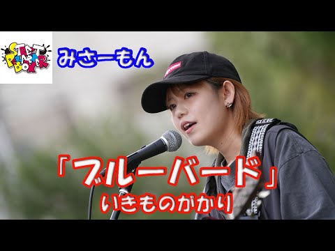 横浜マリンタワー公認路上ライブ【歌ってみた】みさーもんさん いきものがかり「ブルーバード」StreetPerformerBox