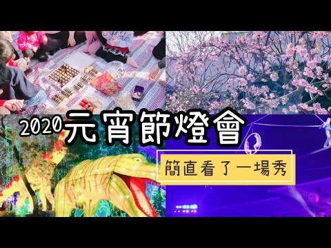 親子日常#13｜台灣燈會｜簡直看了一場秀｜櫻花樹下野餐｜后里馬場園區